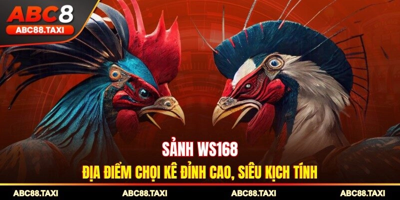 Sảnh WS168 - Địa Điểm Chọi Kê Đỉnh Cao, Siêu Kịch Tính