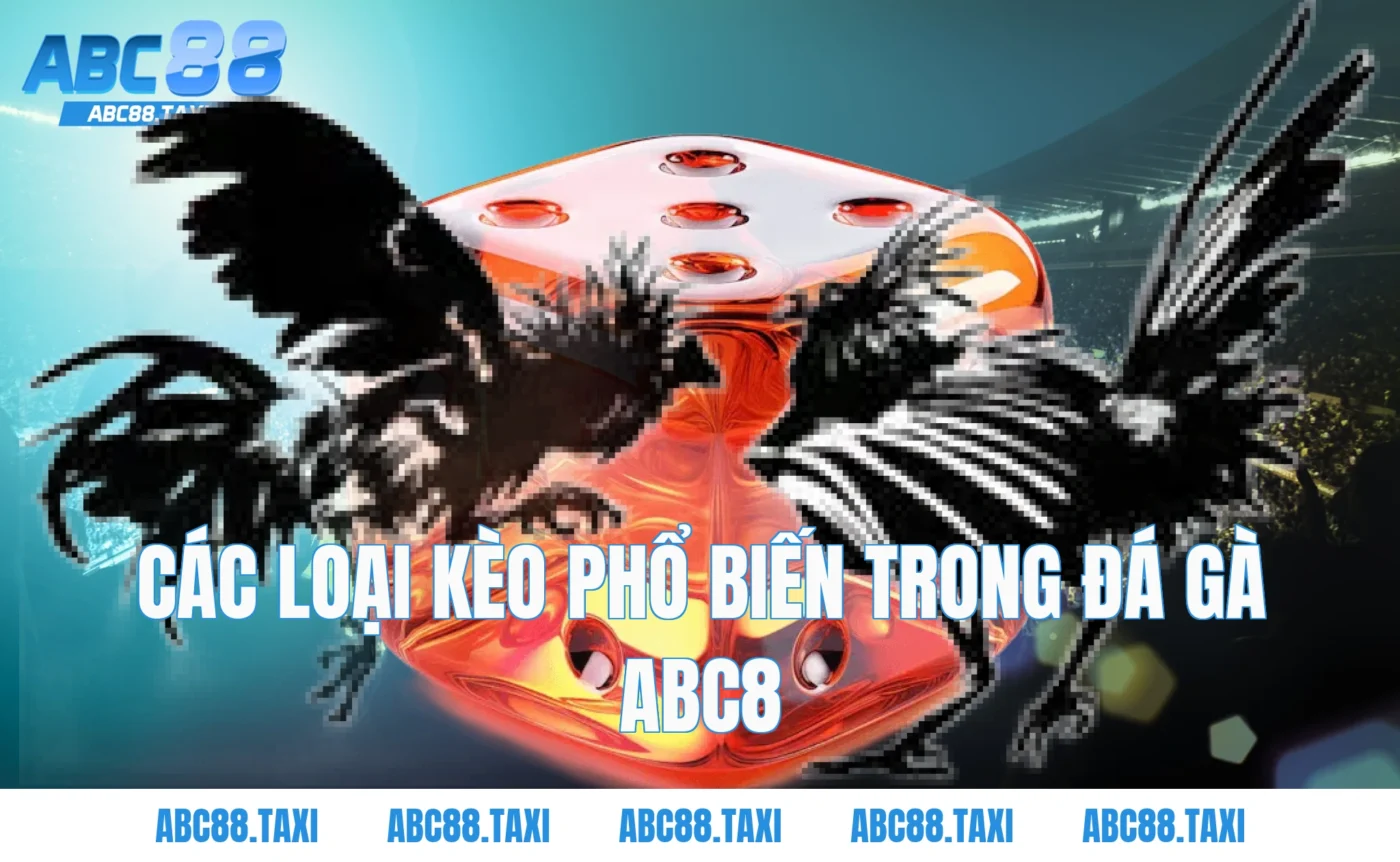 Các loại kèo phổ biến trong Đá Gà ABC8