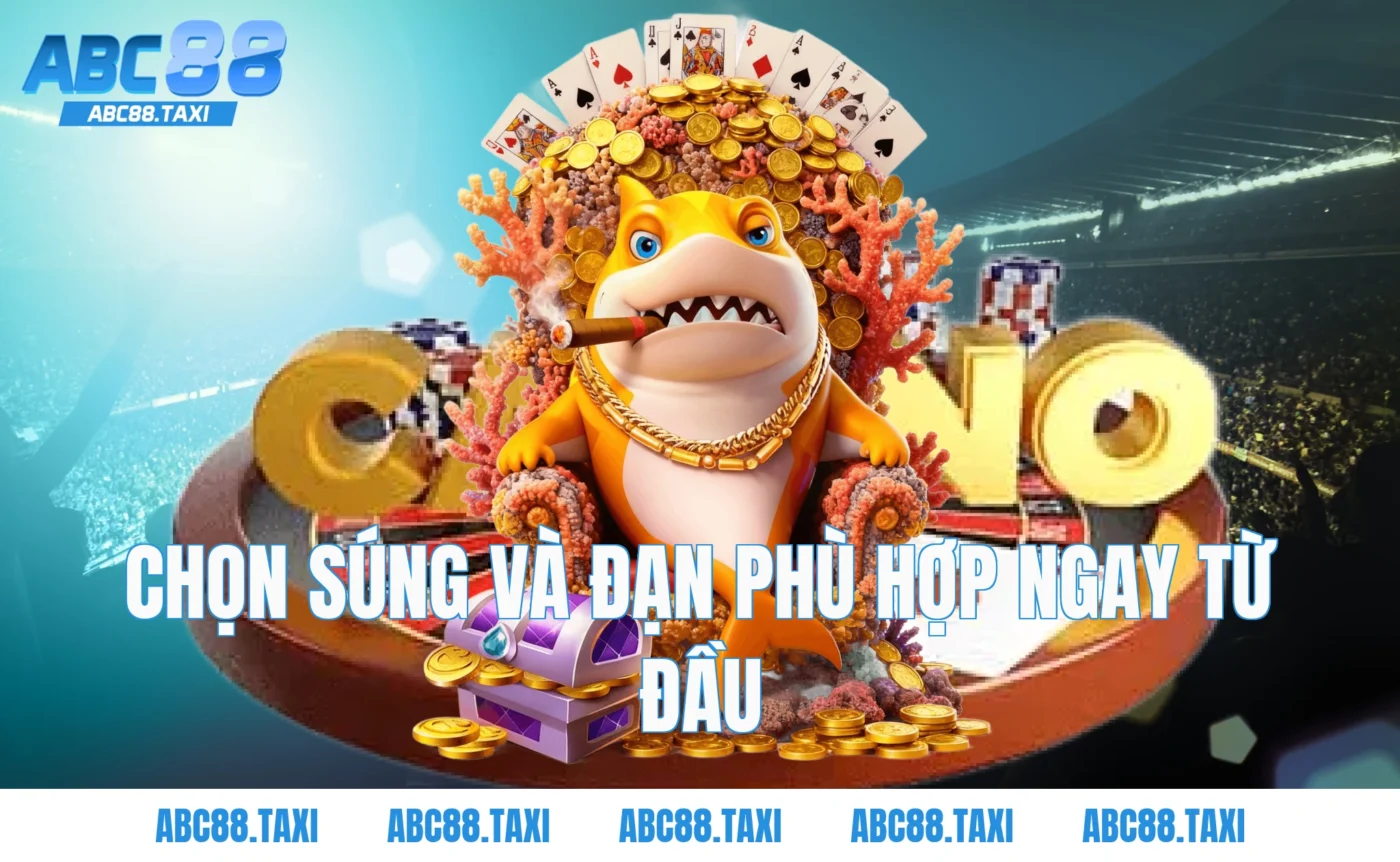 Chọn súng và đạn phù hợp ngay từ đầu