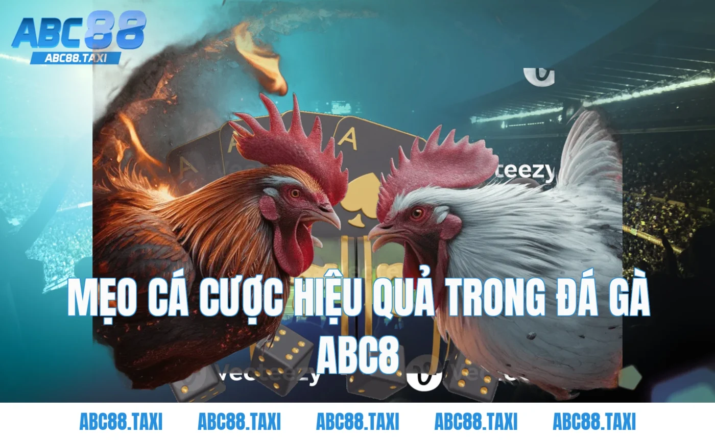 Mẹo cá cược hiệu quả trong Đá Gà ABC8